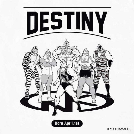 KMC DESTINY 4.1 Tシャツ