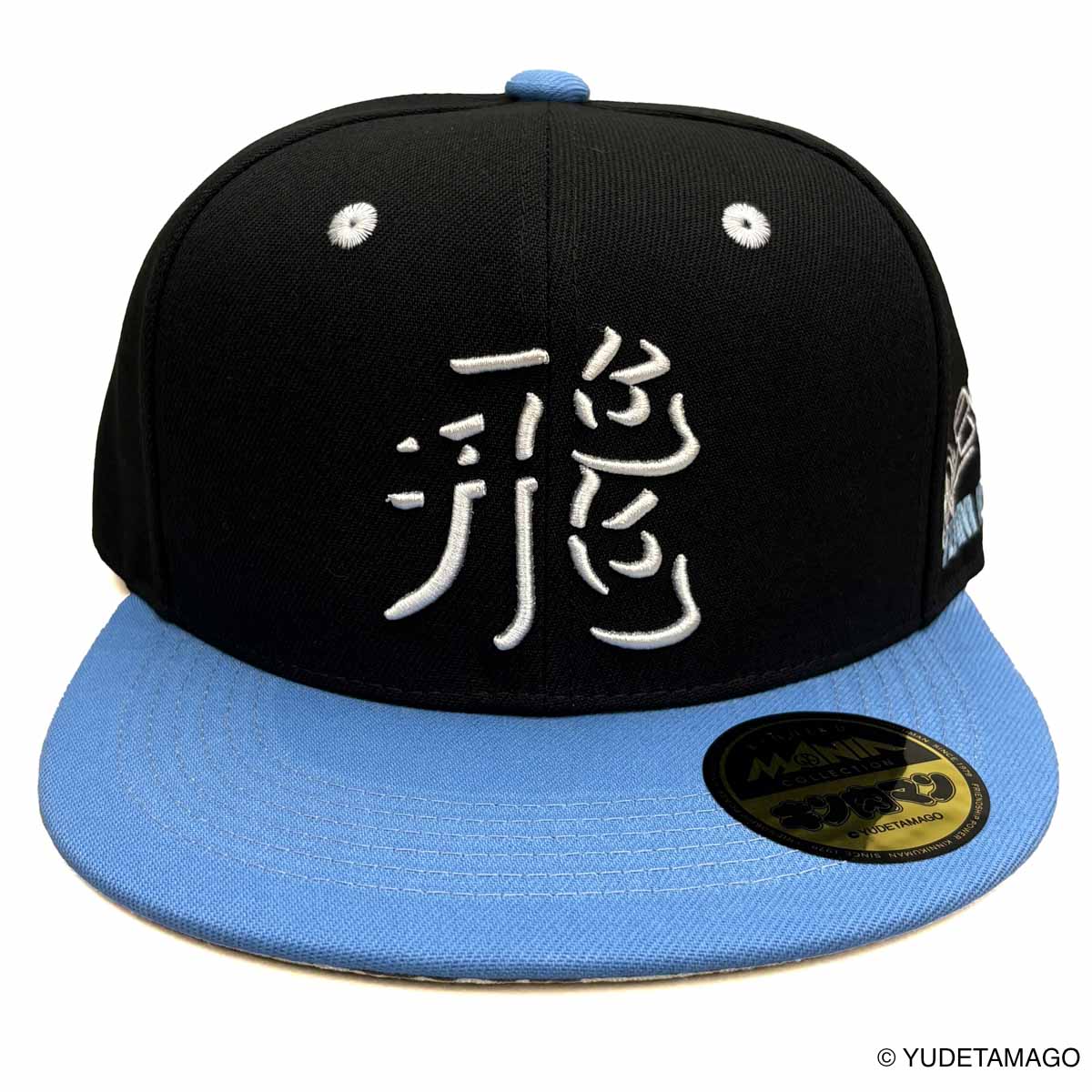 TOHOKU 飛翔チーム BBキャップ