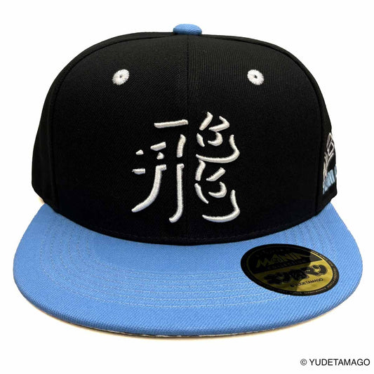 TOHOKU 飛翔チーム BBキャップ