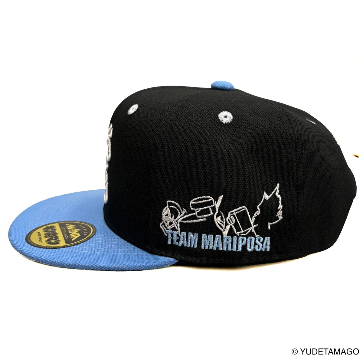 TOHOKU 飛翔チーム BBキャップ